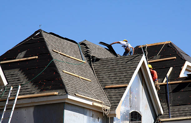 Best Metal Roofing Contractor  in Morrisonvle, IL