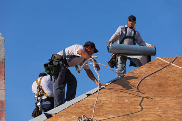 Best Commercial Roofing Services  in Morrisonvle, IL