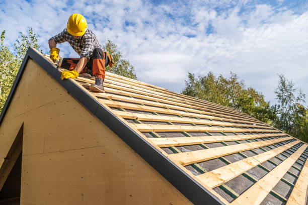 Best Gutter Installation and Roofing  in Morrisonvle, IL