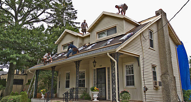 Best Residential Roofing Contractor  in Morrisonvle, IL
