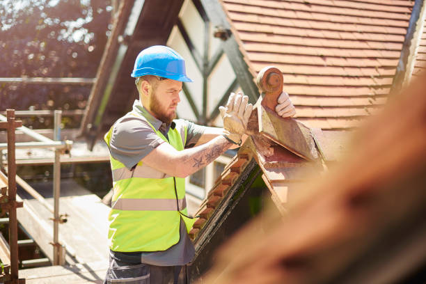 Roof Gutter Cleaning in Morrisonville, IL