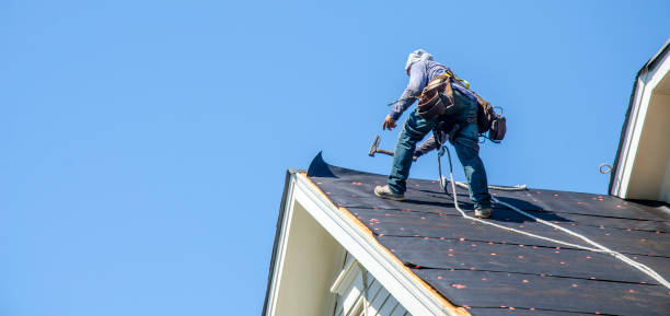 Best Roof Restoration Services  in Morrisonvle, IL